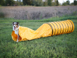 Professional Sack Tunnel